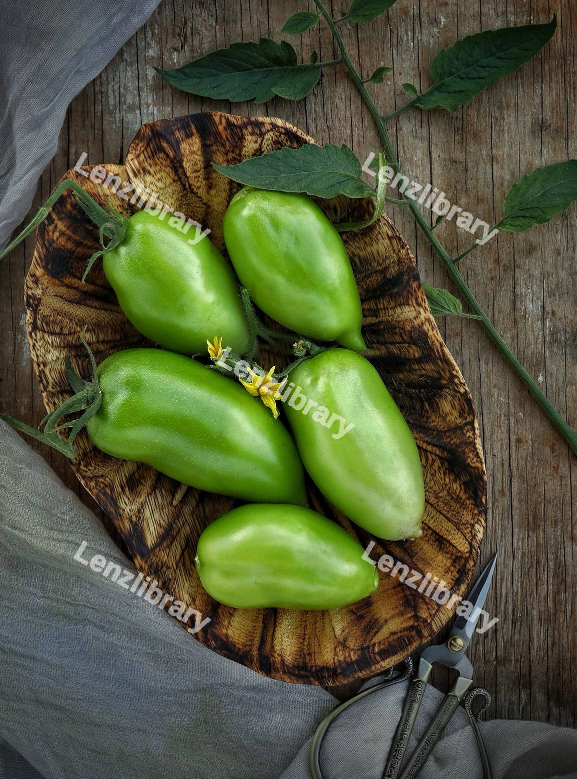 Green Tomatoes